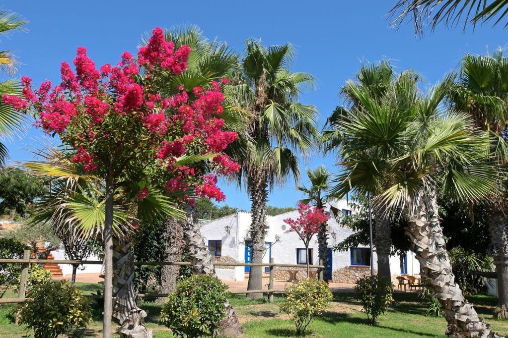 Naturetreehouse Casa Sobre Los Arboles Guest House Бланес Екстериор снимка
